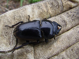 c0346119_00332852.jpg