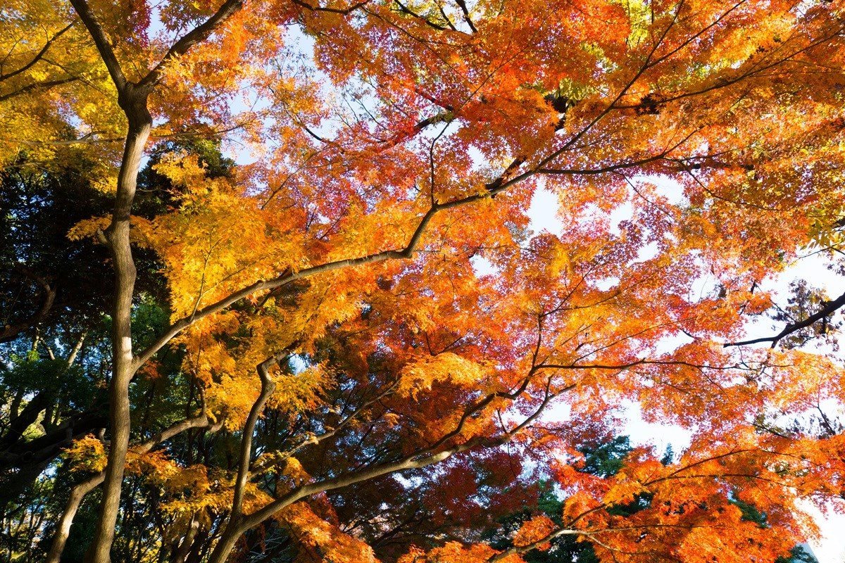 e0346322_08121503.jpg