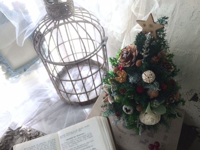 リクエストクリスマスレッスン_e0128024_14254265.jpg