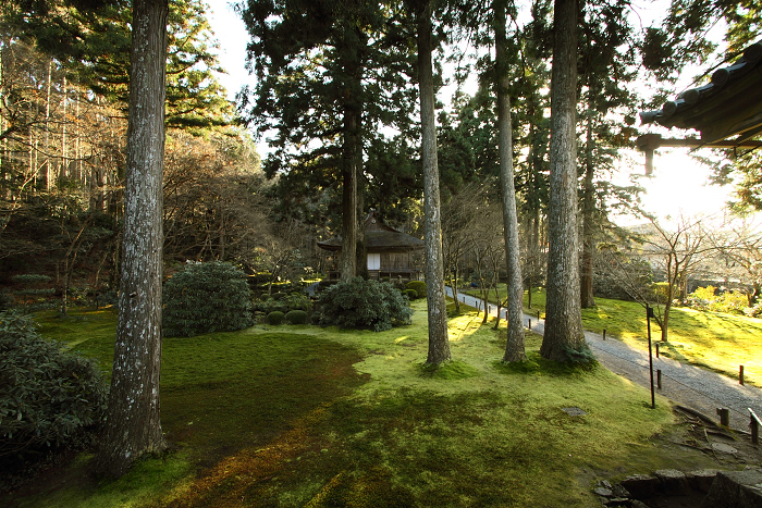 初冬の大原三千院_b0169330_13543982.jpg