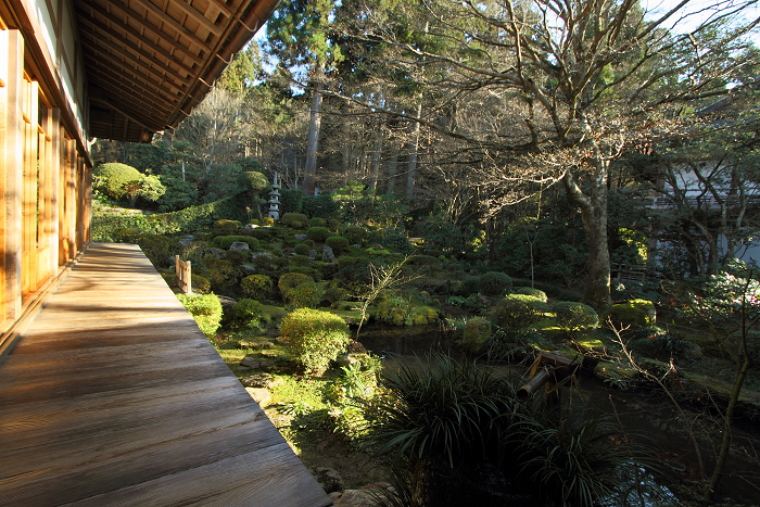 初冬の大原三千院_b0169330_135482.jpg