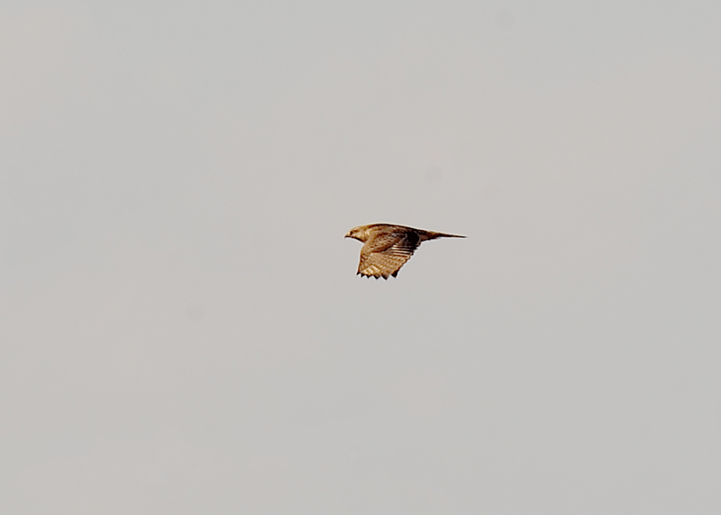 d0290240_16102628.gif