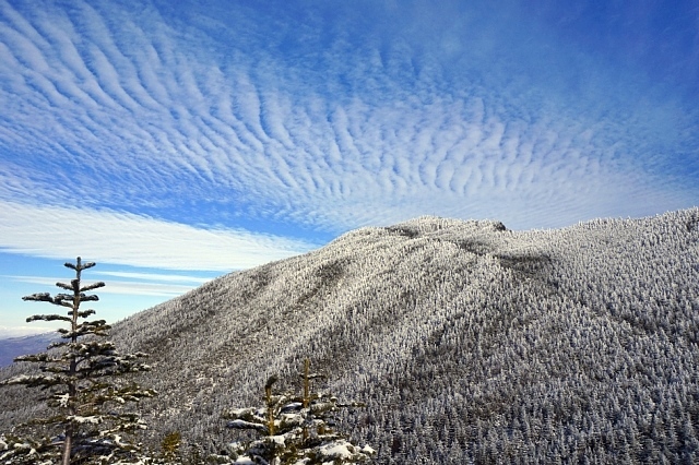 b0122448_09312762.jpg