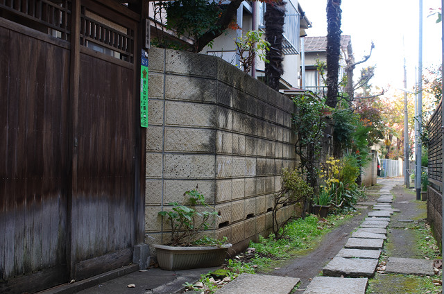 c0080357_17214963.jpg