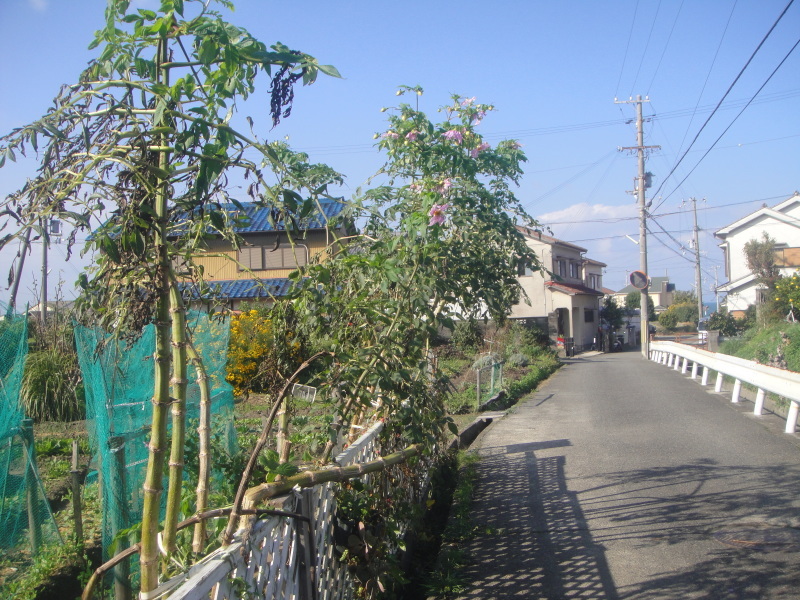 c0108460_20570440.jpg