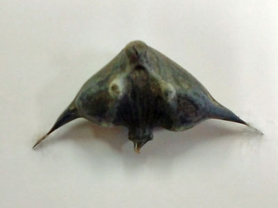 f0083977_22344986.jpg