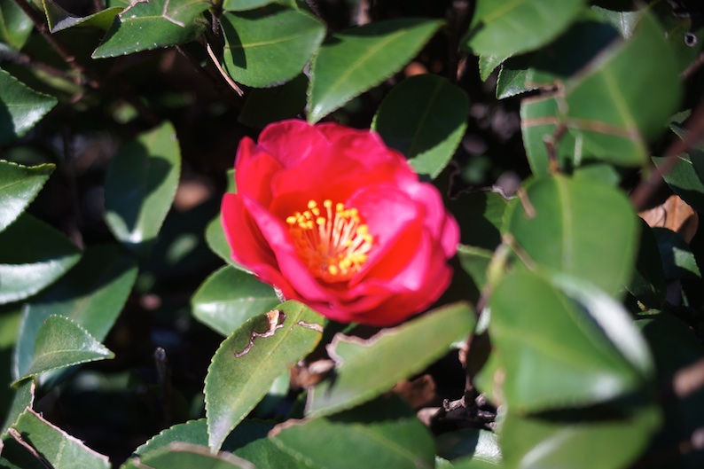 b0057679_9212490.jpg