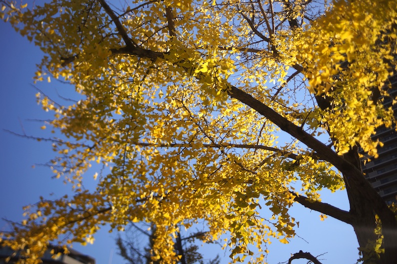 b0057679_9213745.jpg