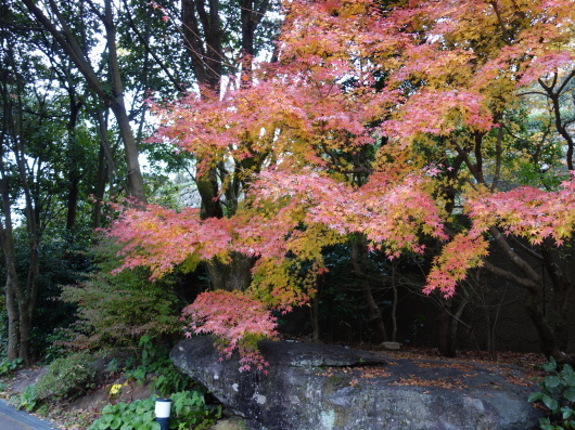 c0360979_09510764.jpg