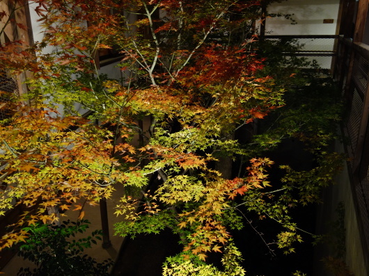 c0360979_10160378.jpg
