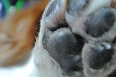 e0121583_16328100.jpg