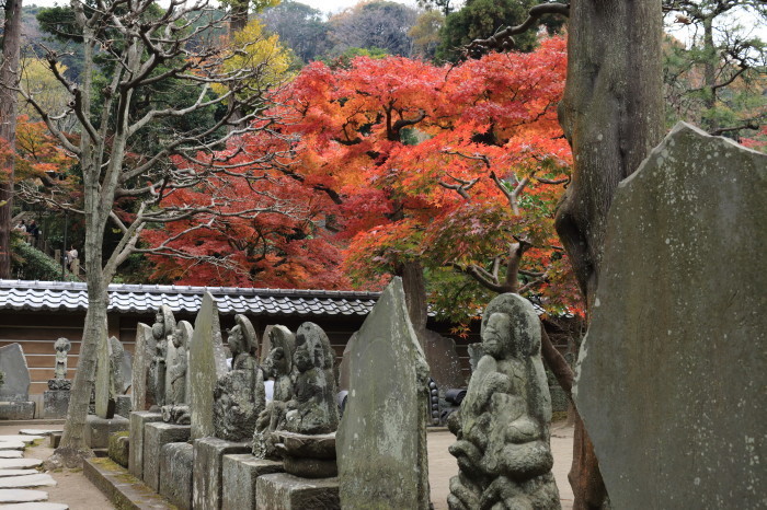 鎌倉紅葉2015(5)『円覚寺』_e0320384_02511746.jpg