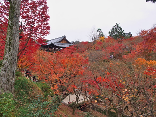 紅葉めぐり2015～東福寺～(12/6)_d0026589_23105534.jpg