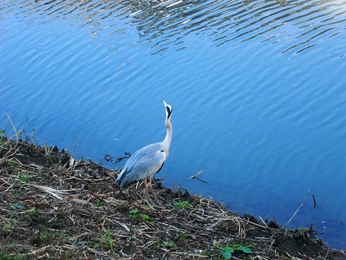 e0143690_2217212.jpg