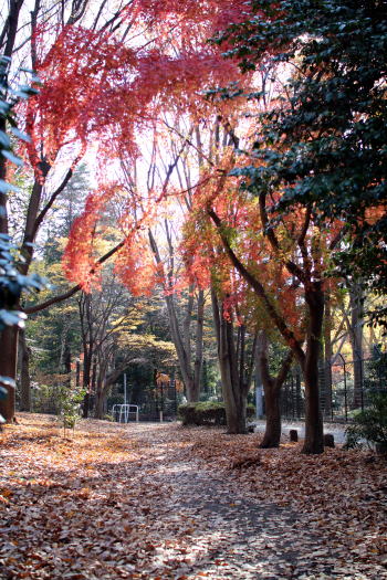深大寺にお散歩に&不明の送り主判明!_c0090198_18533746.jpg