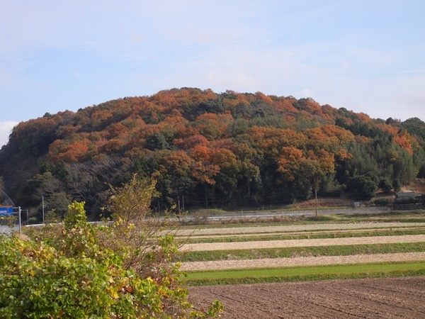 田舎の風景_c0361298_21180579.jpg