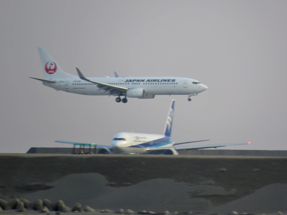 c0049299_2201592.jpg