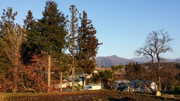c0320302_16302550.jpg