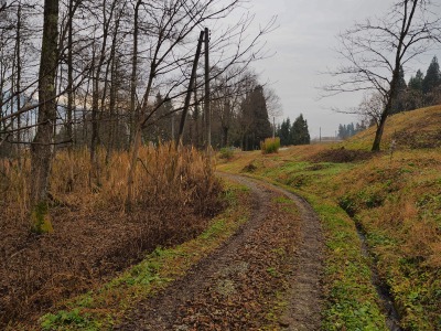 c0336902_2114422.jpg