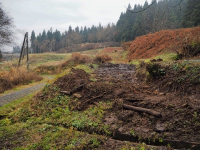 c0336902_21155557.jpg