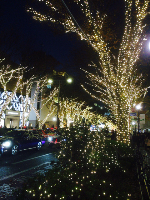 c0227407_1738324.jpg