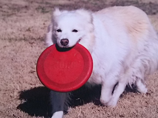d0148408_15553650.jpg