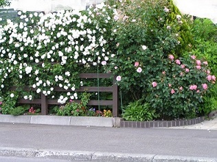 f0325309_16472253.jpg