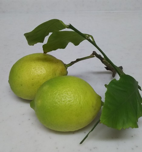 f0276510_21510321.jpg