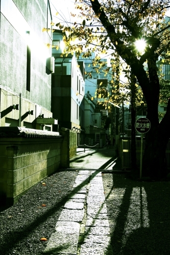 e0340011_16151964.jpg