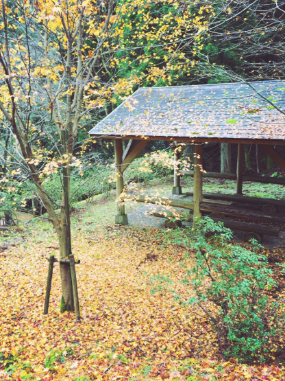 f0218012_20211005.jpg
