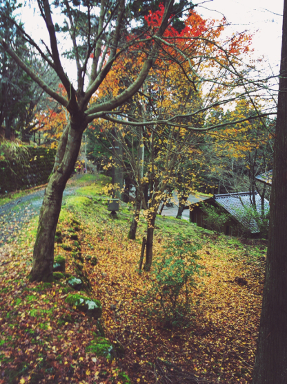 f0218012_20211062.jpg
