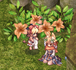 e0002817_12273662.gif