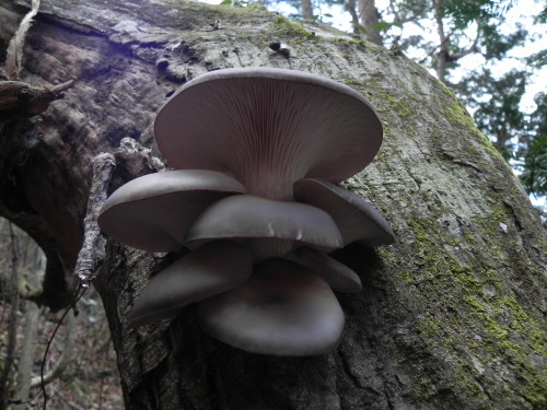 e0352220_21103062.jpg
