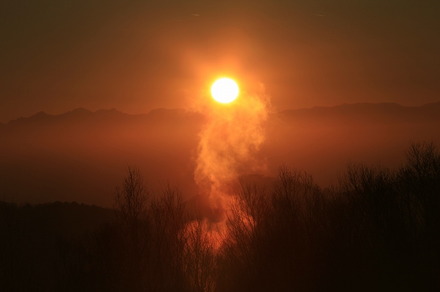 e0242721_81757.jpg