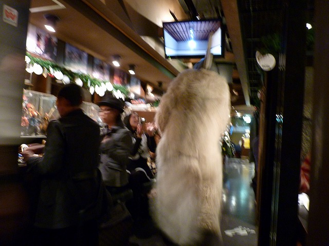 帰ってきた怪獣酒場 忘年クリスマスカードに囲まれ♪_b0166128_11112827.jpg