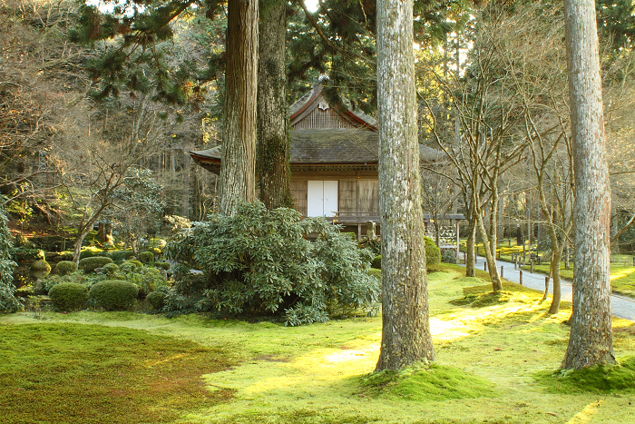 初冬の大原三千院_b0169330_15573911.jpg