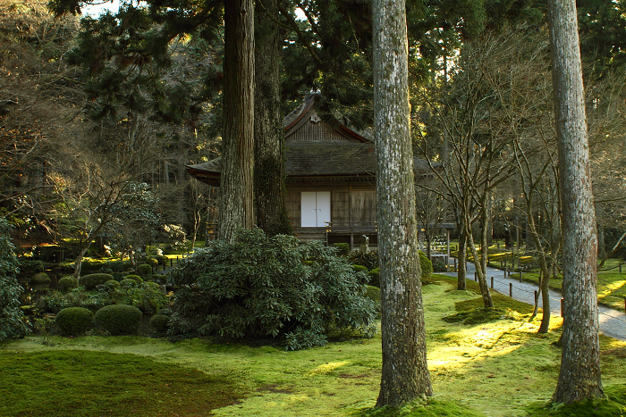 初冬の大原三千院_b0169330_1557667.jpg