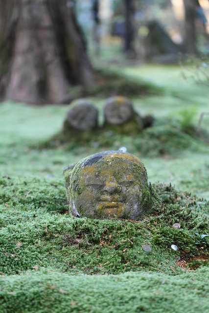 初冬の大原三千院_b0169330_16391897.jpg