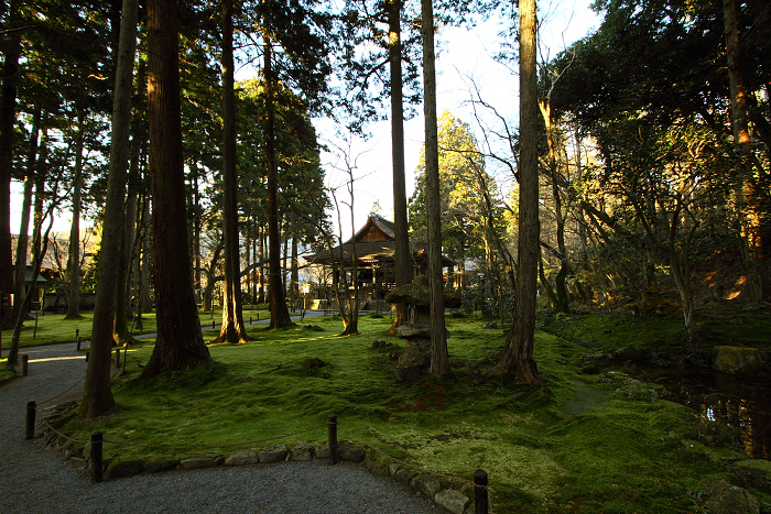 初冬の大原三千院_b0169330_17204555.jpg