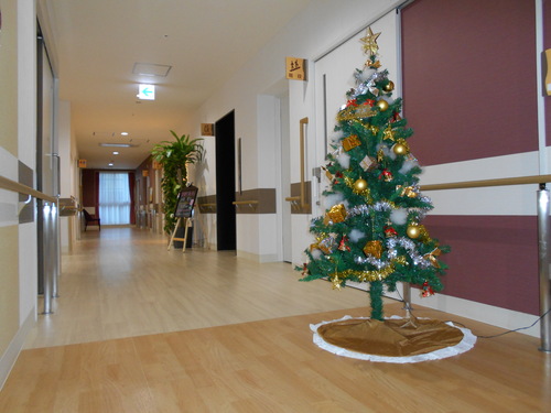 b0131135_17532062.jpg