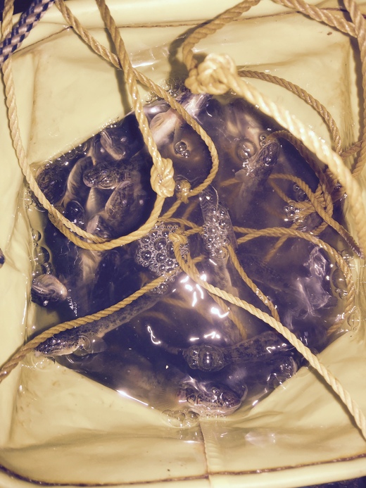 c0234439_485655.jpg