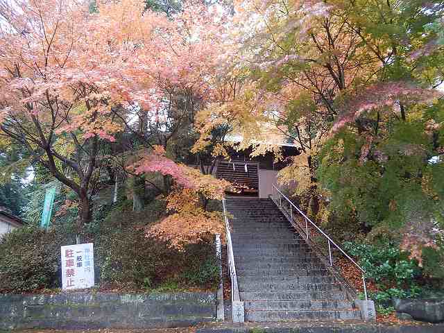 色付く寄神社_a0048040_1659739.jpg