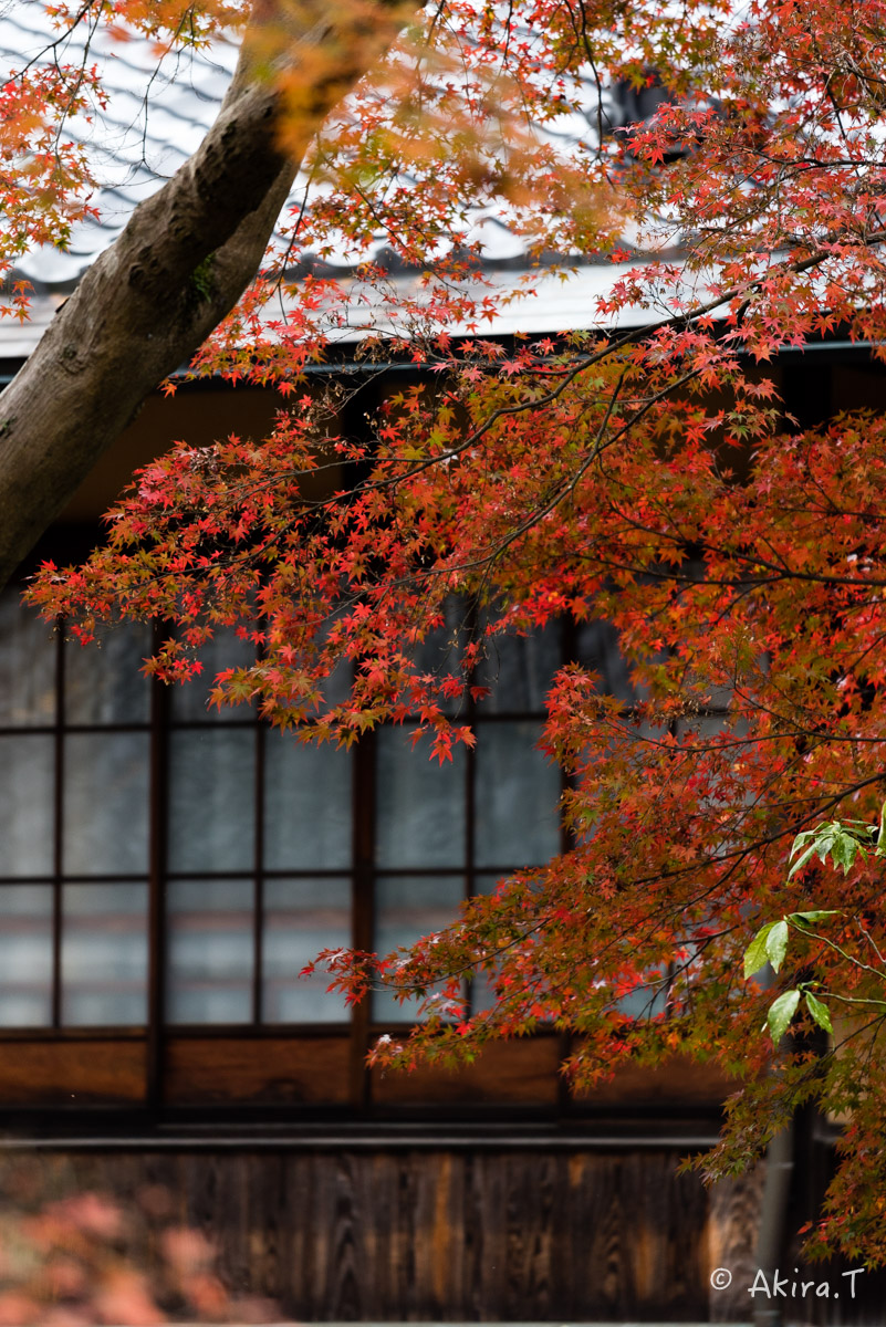 京都・山科の紅葉 2015 〜山科疎水〜_f0152550_15394458.jpg