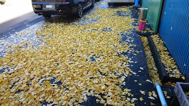 c0160751_10423763.jpg