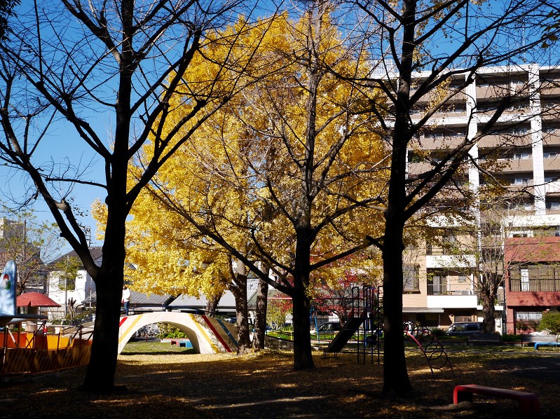 　　街なかの小公園にて_b0093754_18251096.jpg