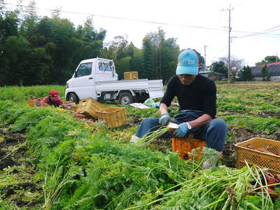 完全無農薬・無化学肥料 菊池水源里山ニンジン!朝採り即日出荷でお届けします!_a0254656_18175860.jpg