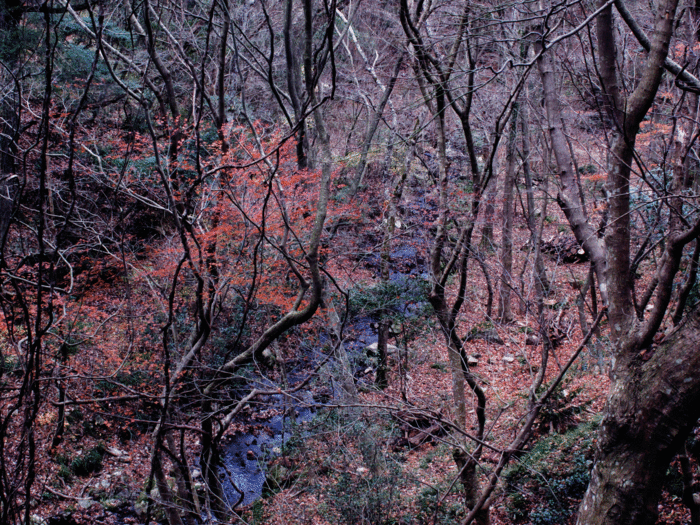 b0277257_22293971.gif