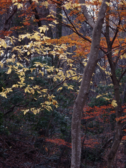 b0277257_22303338.gif