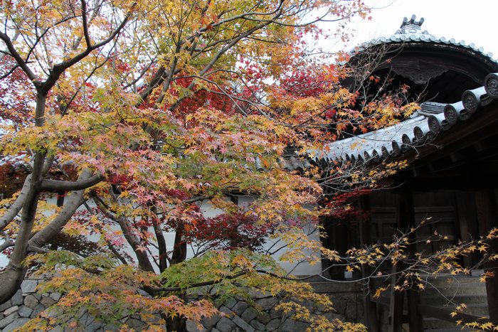 東福寺の秋その二_c0135957_10285322.jpg