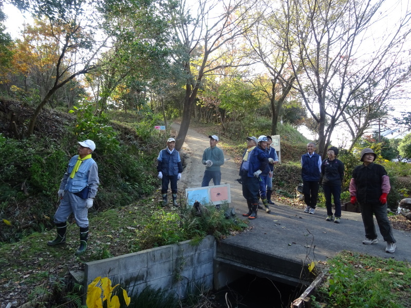 うみべの森を育てる会 & みさき里山クラブの共同打ち合わせ会 in うみべの森_c0108460_18452237.jpg